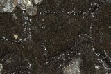 Polished Septarian Geode Sculpture - Black Crystals #99447-1